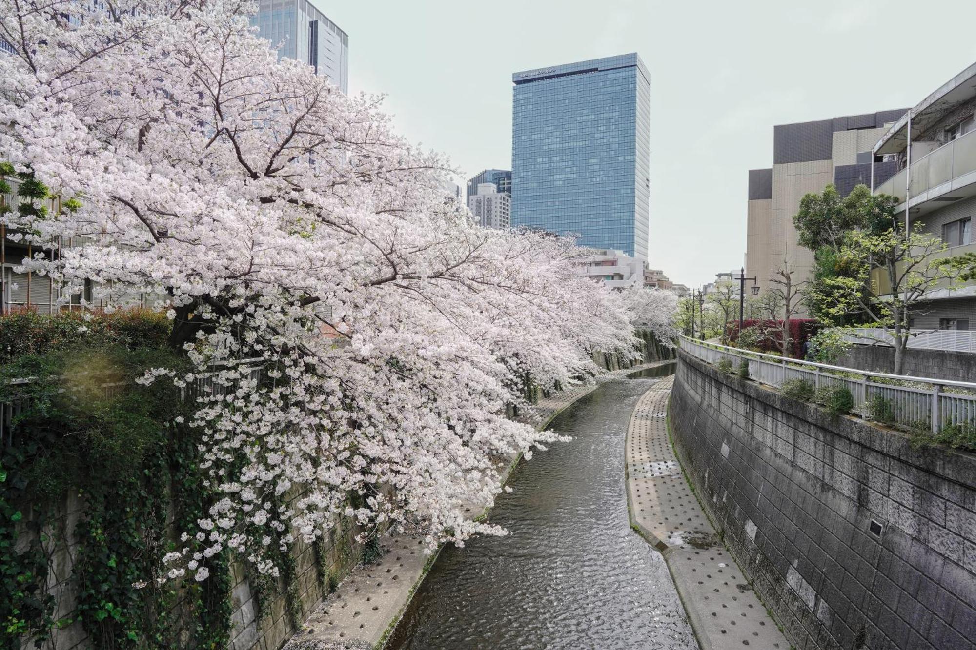 Close To Shinjuku!twin Beds,projector,appliances! * Präfektur Tokio
